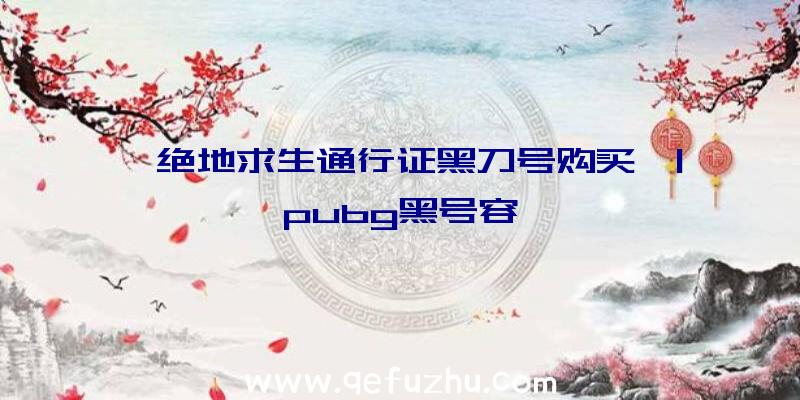 「绝地求生通行证黑刀号购买」|pubg黑号容